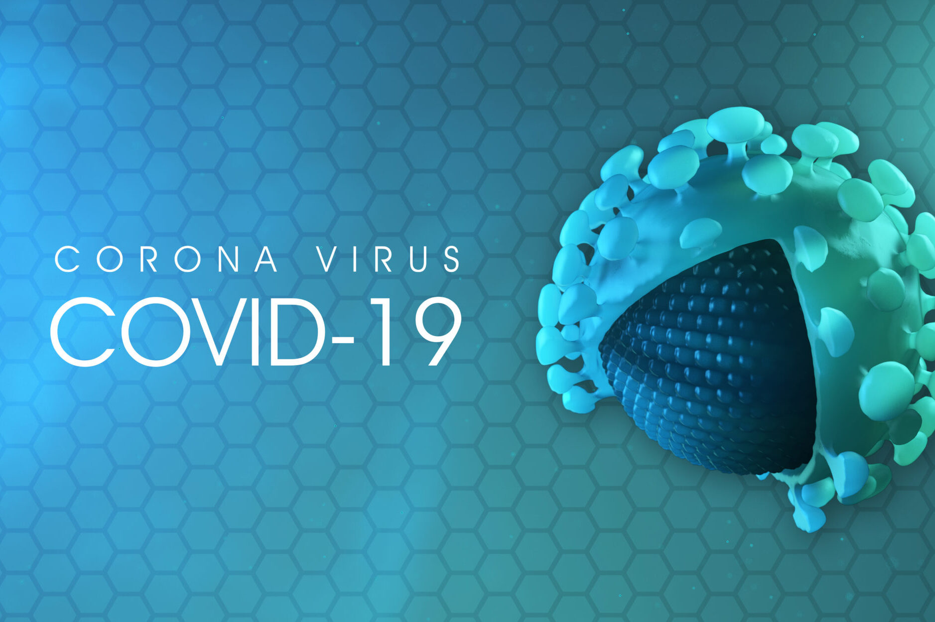 cropped-Corona-Virus-scaled-1.jpeg